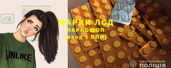 индика Бабаево