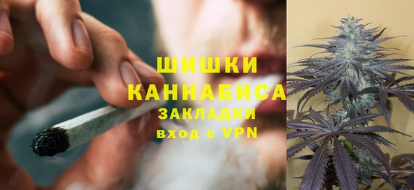 МДПВ Аша