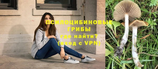 меф VHQ Михайлов