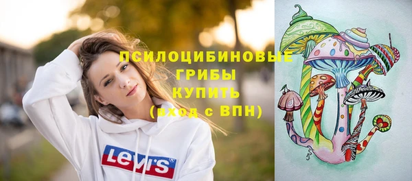 гидропоника Надым