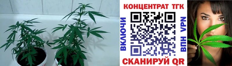 hydra вход Томари это телеграм ТГК Wax